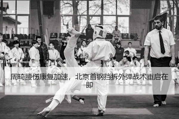 zhou-qi-yao-shang-kang-fu-jia-su-bei-jing-shou-gang-dang-chai-wai-dan-zhan-shu-chong-qi-zai-ji-2-101.jpg